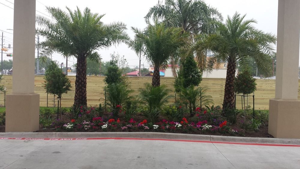 Palace Inn 290 & Jones Rd Jersey Village Εξωτερικό φωτογραφία
